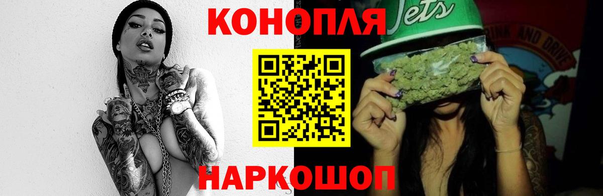 Шишки марихуана план  Марихуана ГИДРОПОН  Сегежа  Вход с VPN  Конопля семена  Канабис THC 21% 